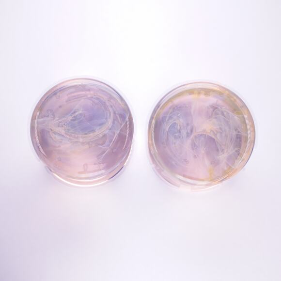 GLASSWEAR STUDIOS Chaos Rosy Maple Pink and Purple 1/2" 13mm Double Flared Plugs - Picture 1 of 1